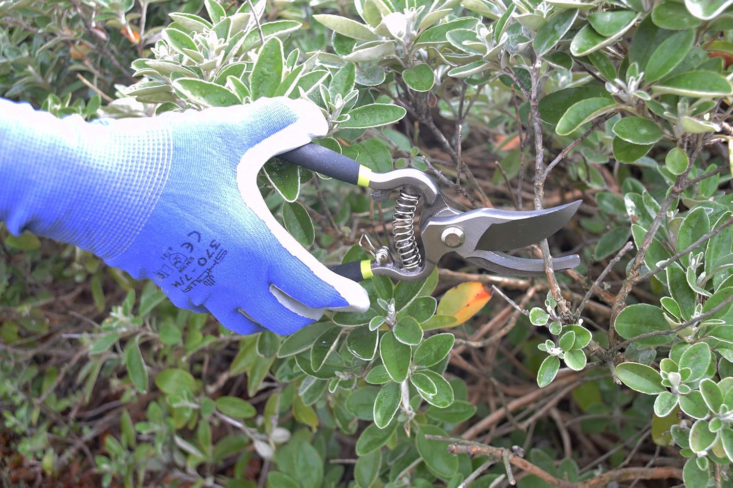 Thumbnail 3 de Spear & Jackson Cutting Set 8K: Kew Gardens Collection Vintage Bypass & Anvil Secateur Set
