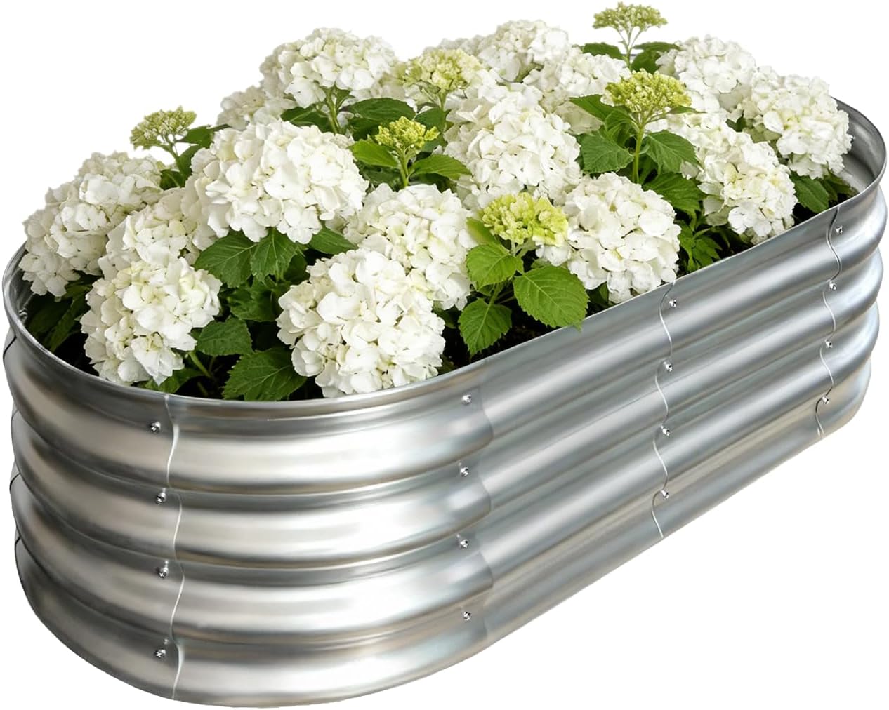 Vivagarden Galvanized Raised Garden Bed (4x2x1 ft) — Metal Planter Box for Vegetables, Herbs, Flowers