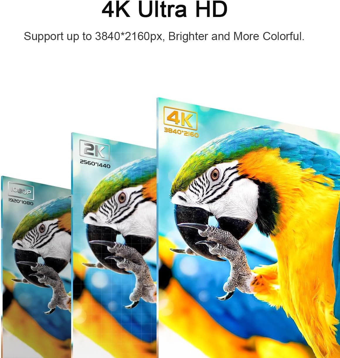 Detalle 2 de Cheges HDMI Cable 4K 60Hz 20 ft