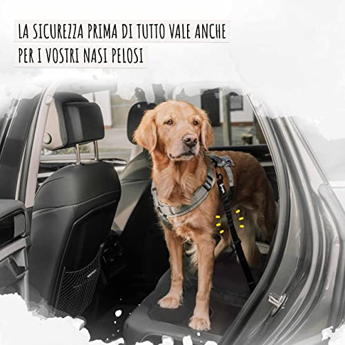 Detalle de Rudelkönig Cintura Sicurezza Cani Auto – Elastica e Regolabile