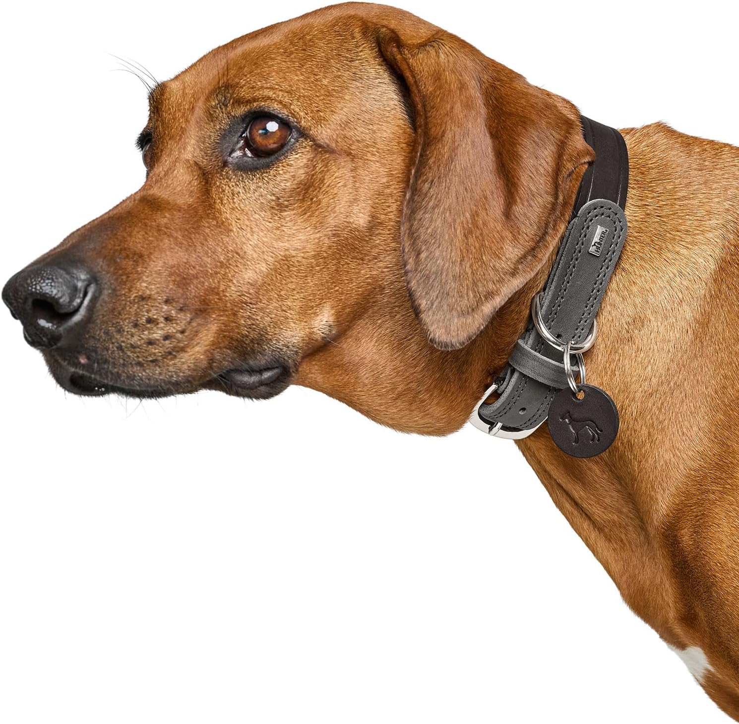 Detalle de Hunter Hundehalsband LEMVIG – schwarzes/steingraues Lederhalsband, Made in Germany, Größe 45