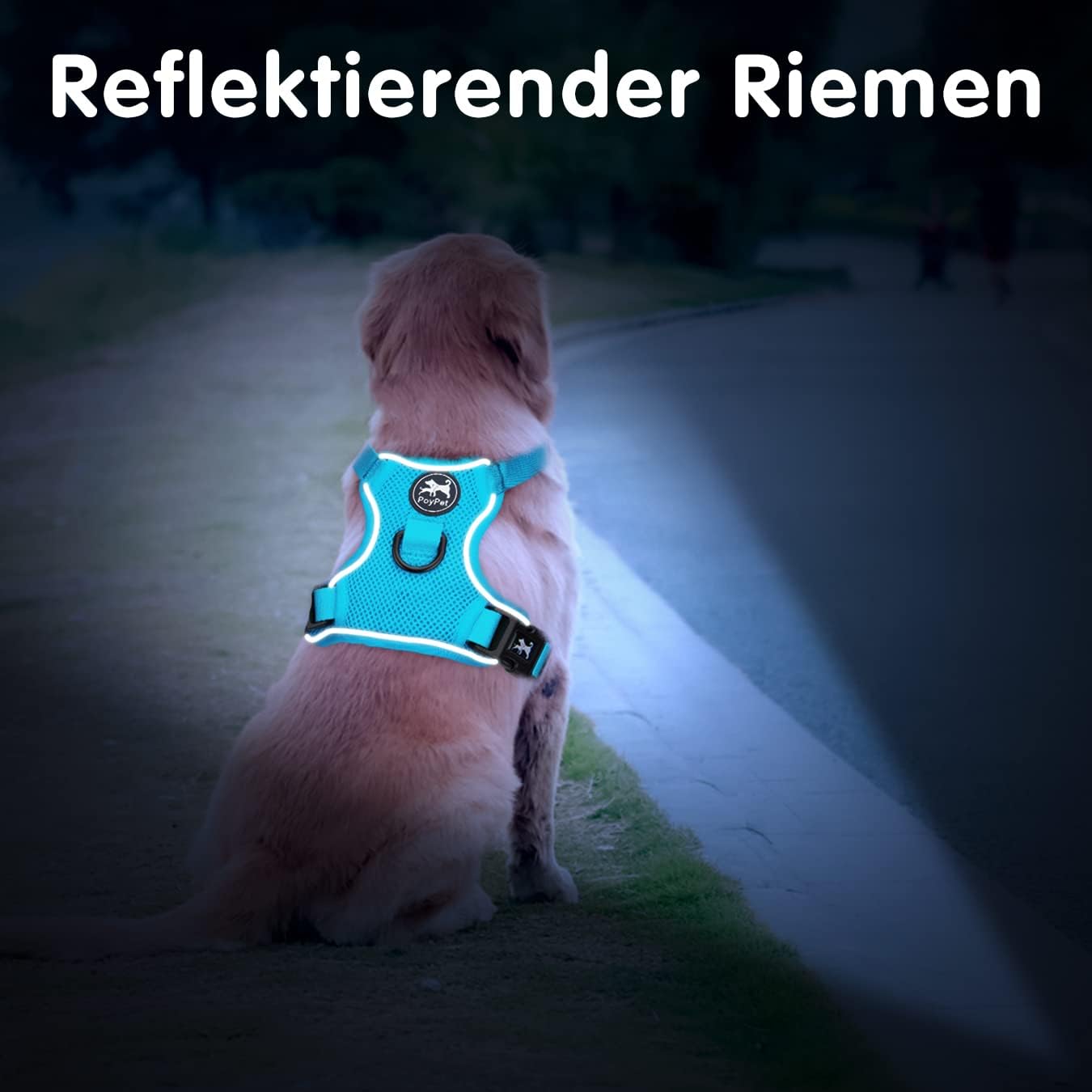 Detalle 2 de PoyPet Reflektierendes, weiches Netz-Hundegeschirr in Blau, XL – atmungsaktiv, doppelt gepolstert, verstellbares Hals- und Brustdesign