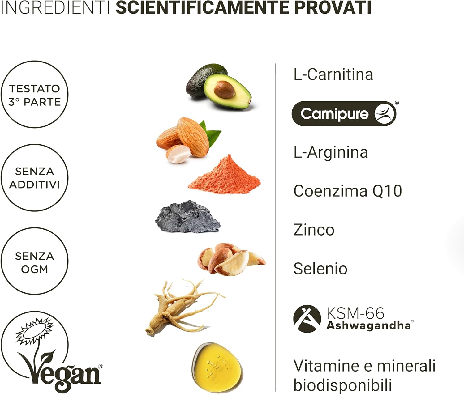 Detalle 2 de Nullure Integratore Fertilità Uomo | L-Carnitina, CoQ10, Arginina e Zinco – 60 capsule