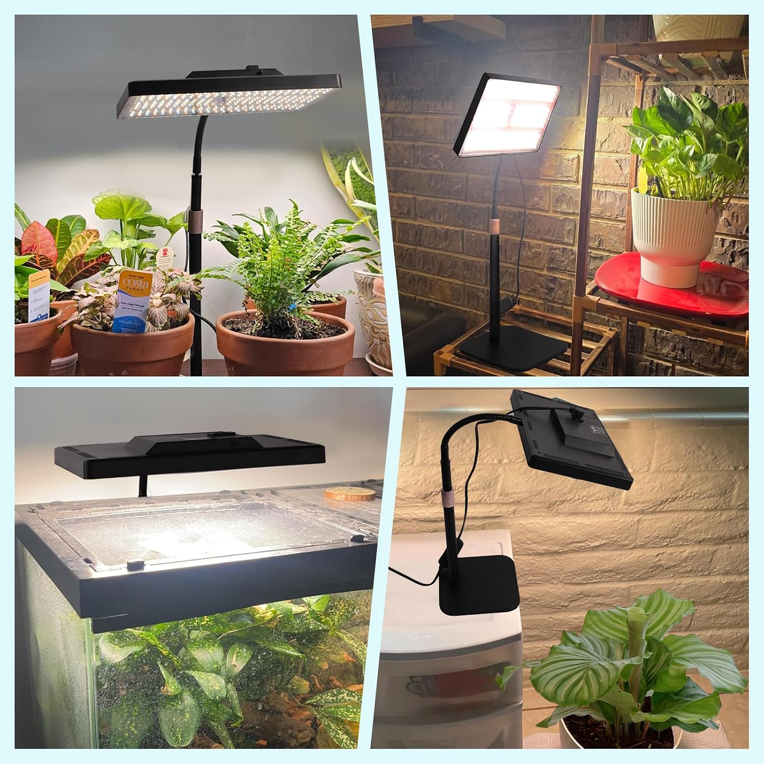 Thumbnail 6 de Railee Pflanzenlampe 25 W Vollspektrum 🌱
