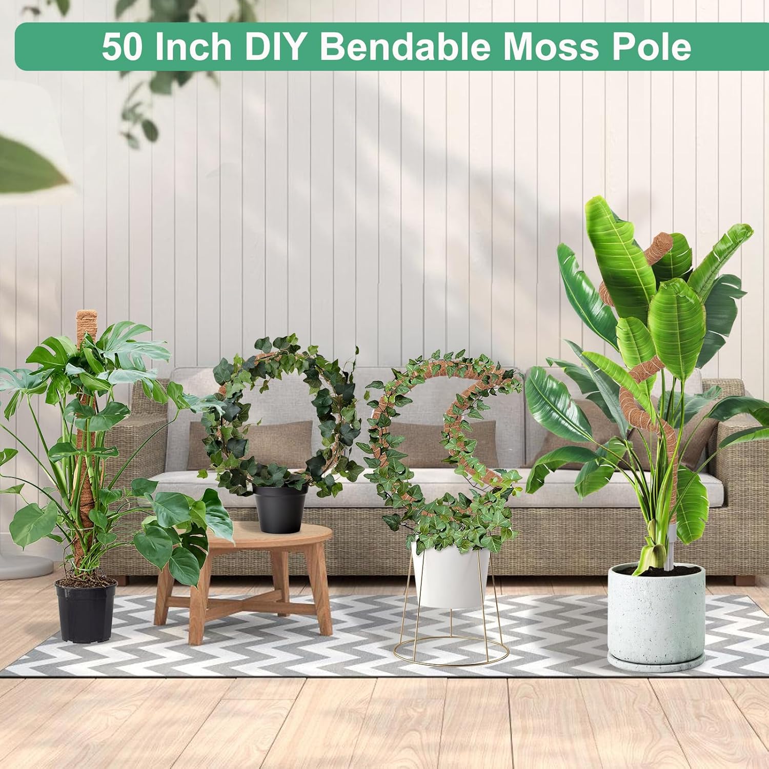 Detalle de LifeNest LifeNest-01 Moss Pole Plant Supports, 50-Inch Coir, 3-Pack