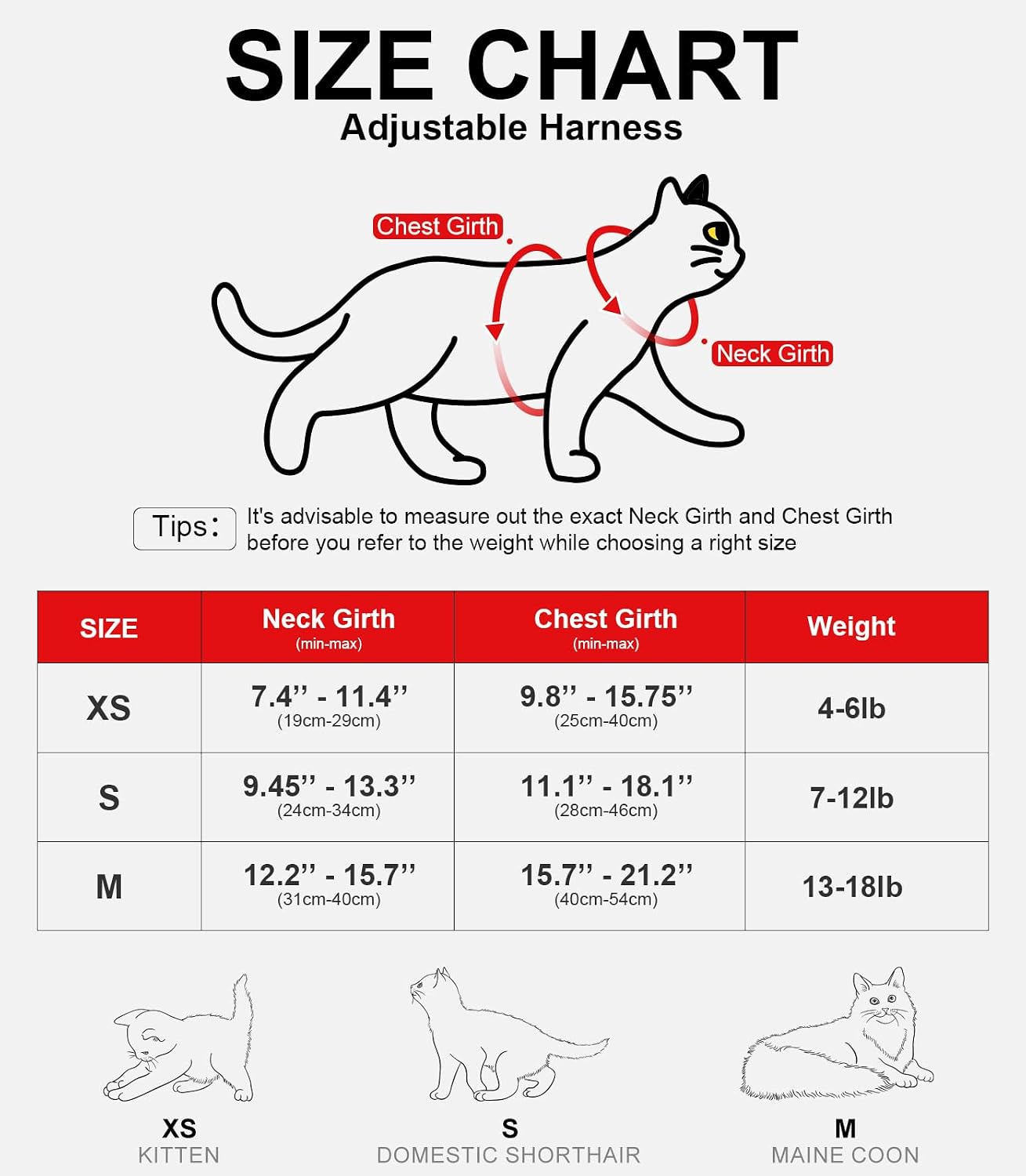Detalle 2 de Cat Harness and Leash S breathable adjustable vest 🐾