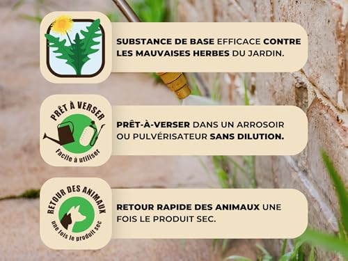 Detalle de Vinaigre Désherbant PROTECT EXPERT Prêt à Verser Grand Format 5L