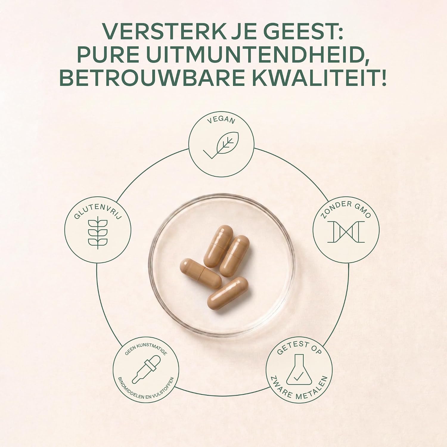 Detalle 2 de AAVALABS Ginkgo Biloba Complex, 50:1-extract, 180 veganistische capsules