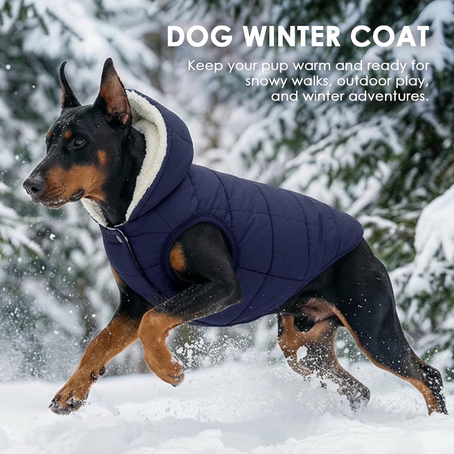 Thumbnail 6 de SAWMONG Dog Hoodie Blue M Winter Coat with Fleece Lining, Hood and Leash Hole