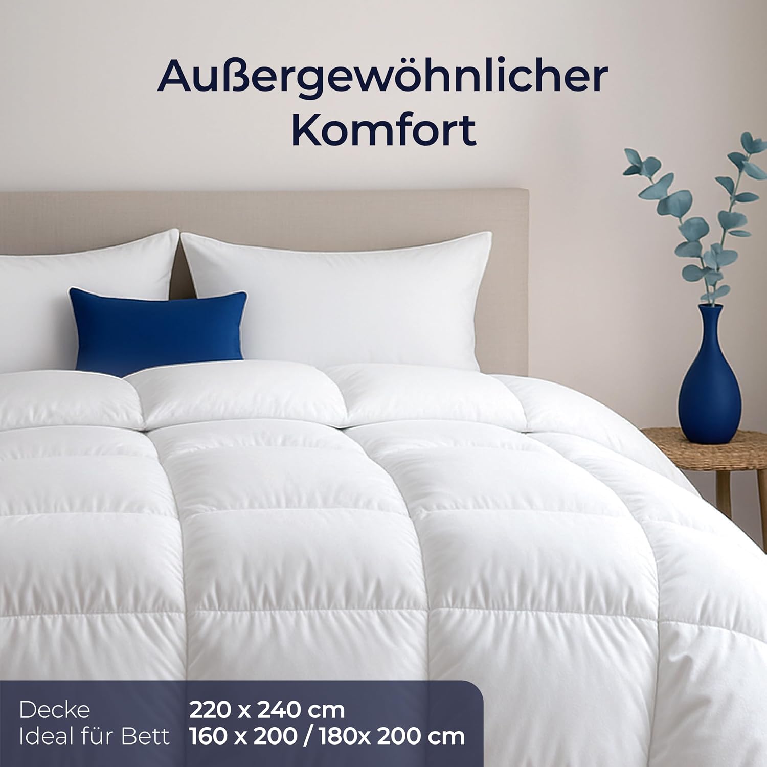 Detalle 2 de Dreamzie Daunendecke 220x240 mit 450 gsm