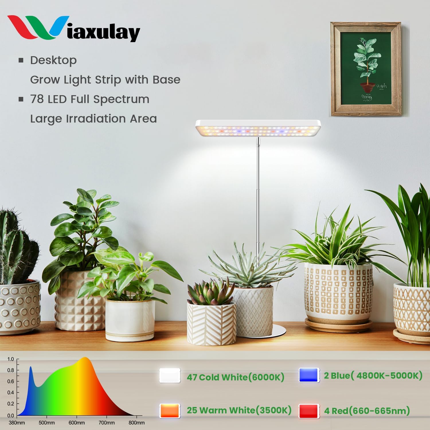 Detalle 2 de Wiaxulay Grow Light 78-LED full spectrum lamp 🌱