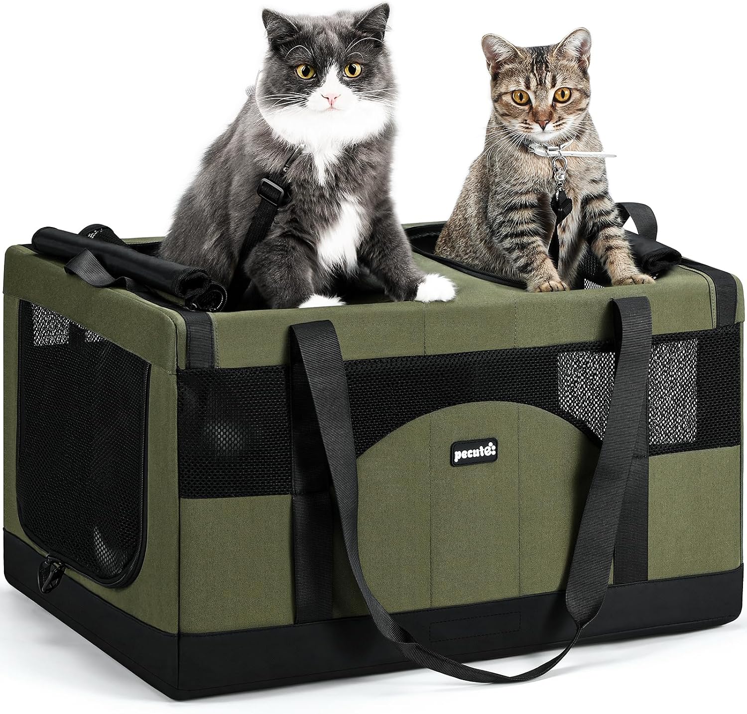 Detalle de Pecute Katzentransportbox für 2 Katzen (faltbar) – Transporttasche mit stabilem Edelstahlrahmen, Dunkelgrün