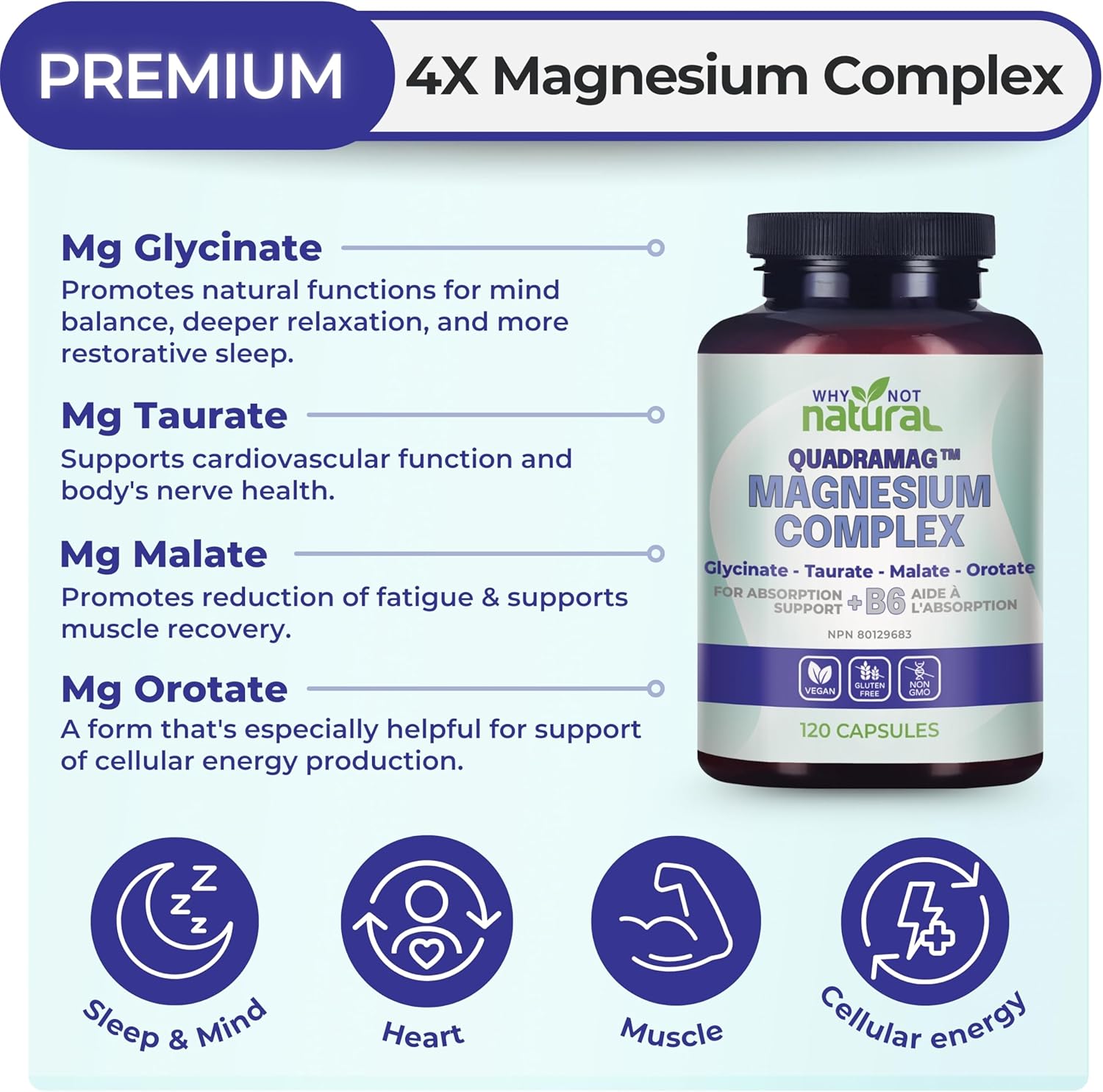 Detalle 2 de Why Not Natural 4-in-1 Magnesium Complex Capsules, Four Magnesium Forms