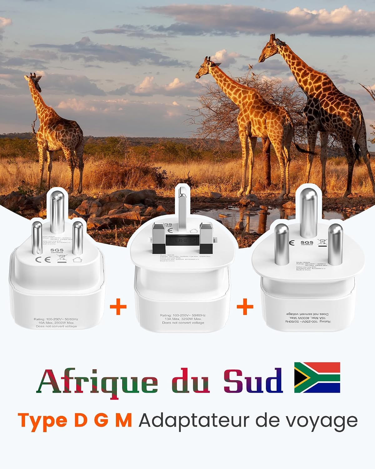 Thumbnail 3 de LENCENT Adaptateur de voyage 4000 W 🔌