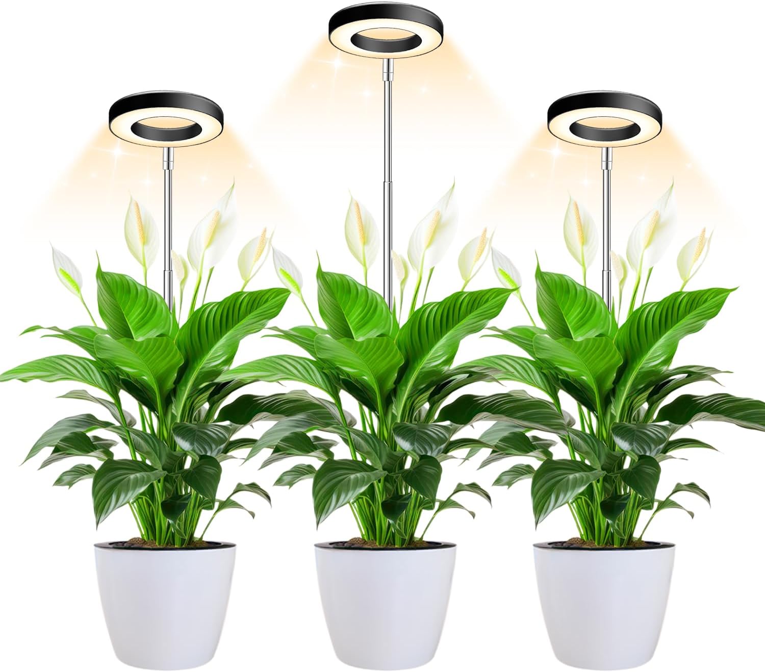Detalle de Wiaxulay BL-B10A Full-Spectrum Grow Light, 3-Pack with Adjustable Height