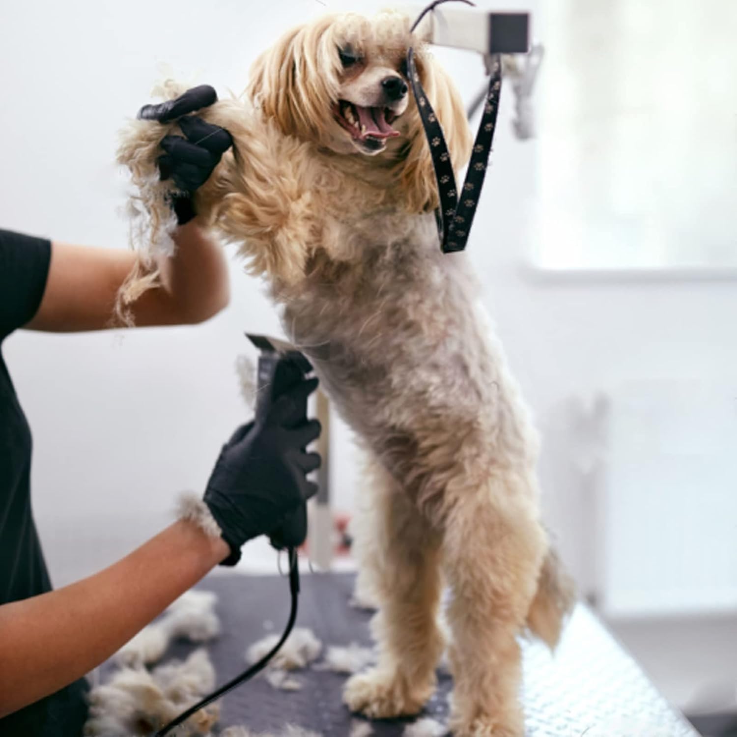 Thumbnail 5 de Dog Grooming Replacement Blades 4FC (9.5mm) – Ceramic & Stainless Steel, compatible with Andis, Oster and Wahl clippers