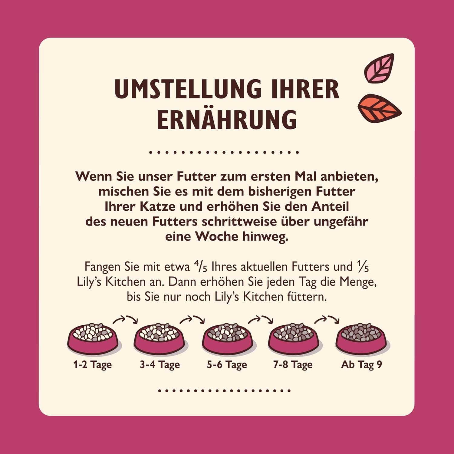 Detalle de Lily’s Kitchen Vollwertnahrung Nassfutter für ausgewachsene Katzen – Geflügelpastete, 19 Schalen (19 x 85 g)