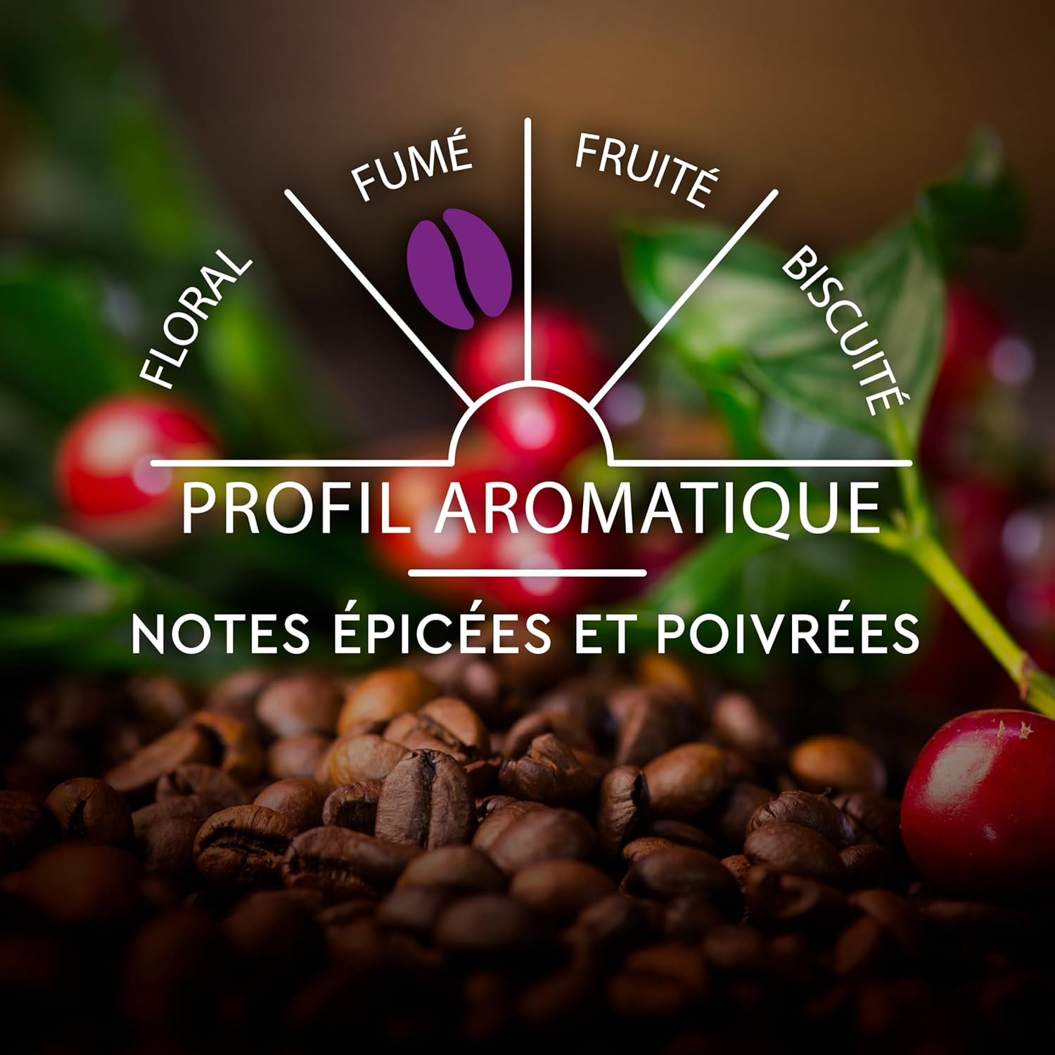 Detalle de Carte Noire Espresso Puissant N°11 – Capsules Aluminium compatibles Nespresso Original, pur Arabica, lot 100 capsules