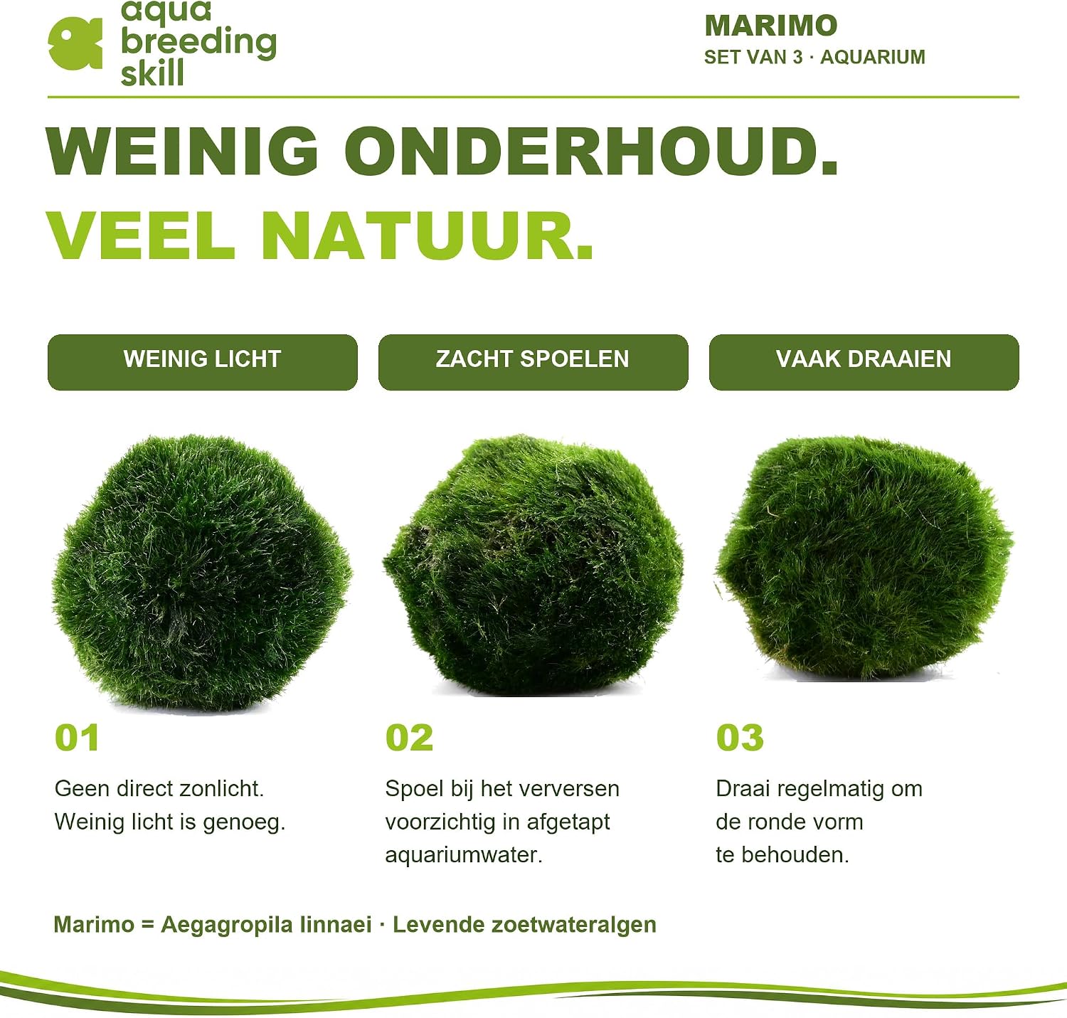 Detalle de Aqua Breeding Skill Marimo mosballen, set van 3, 4–5 cm voor zoetwateraquaria