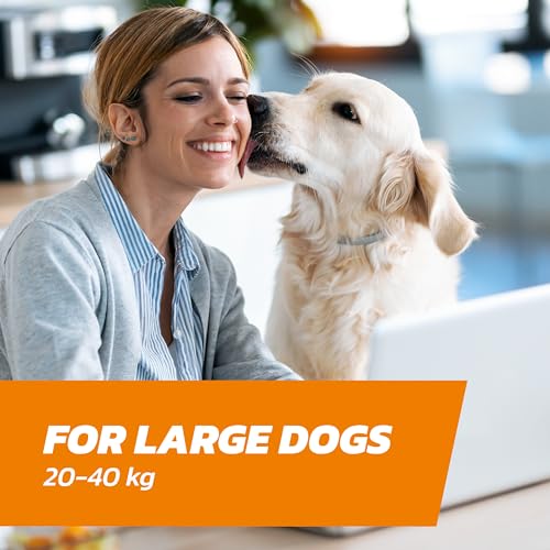 Detalle 2 de Dog Flea Treatment Large Dog x 2 – Spot-on Flea & Tick Treatment for 20–40 kg