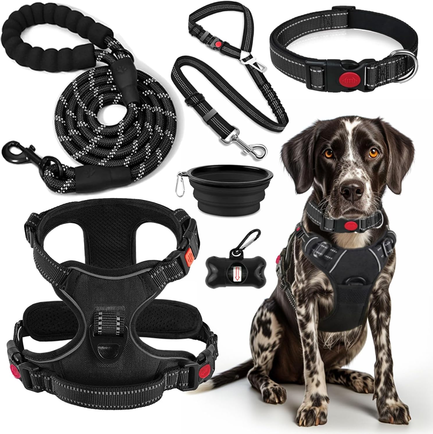 Detalle de LOBEVE XHY-Harnesses-Black-L Dog Harness Set with Leash and Travel Accessories