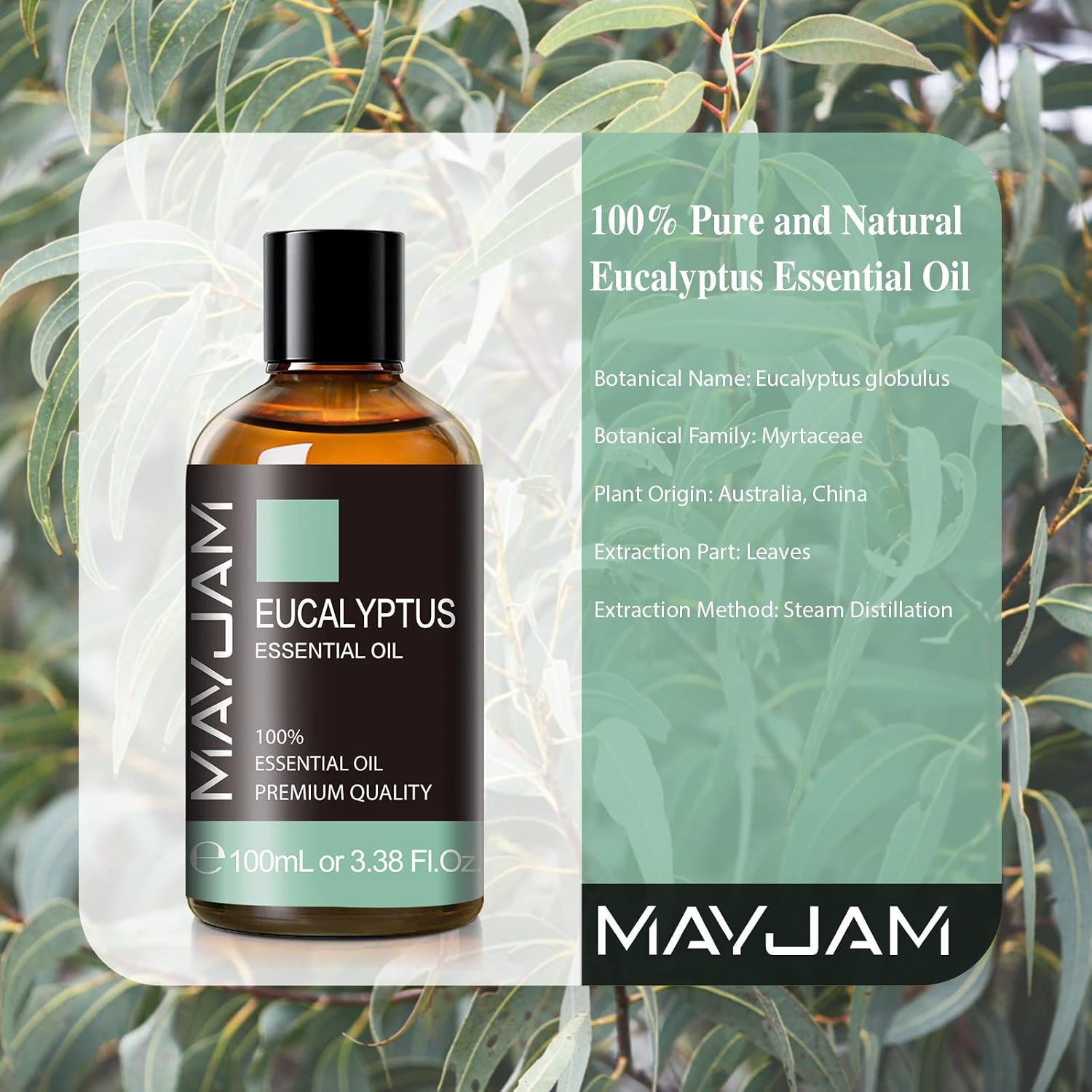 Detalle de MAYJAM Eucalyptus Essential Oil, 3.38 fl oz: Pure, Versatile Diffuser and Care Oil