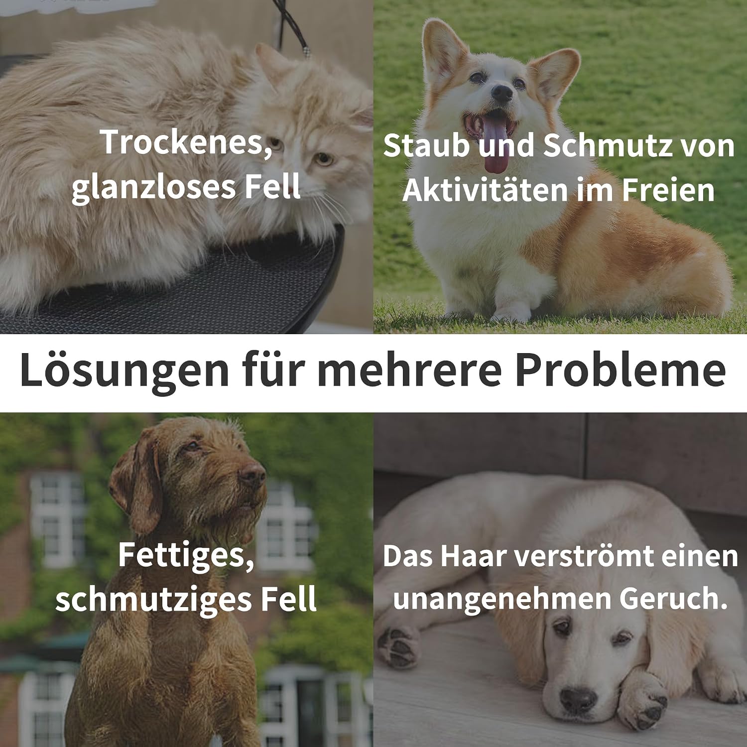 Thumbnail 6 de PETCLEAR Hundeshampoo mit Kokosöl 500 ml – pH-neutral, hypoallergen & leicht auszuspülen
