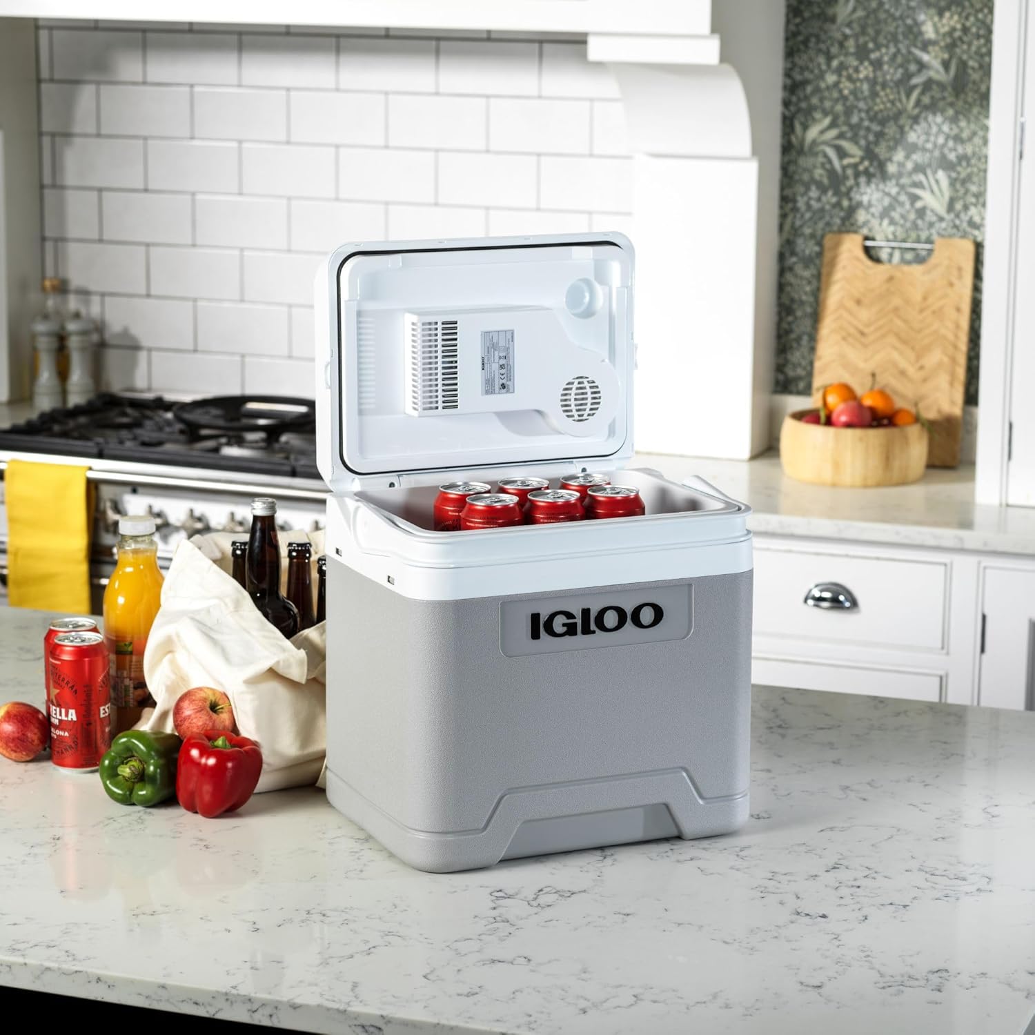 Detalle 2 de Igloo IE24 DC 24L nevera 12V para coche y camping