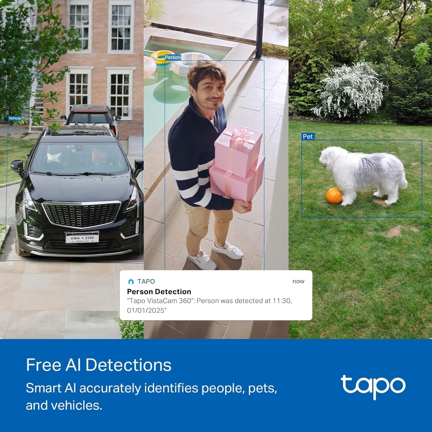 Thumbnail 5 de Tapo C660 KIT 4K Solar Outdoor Security Camera with 360° View