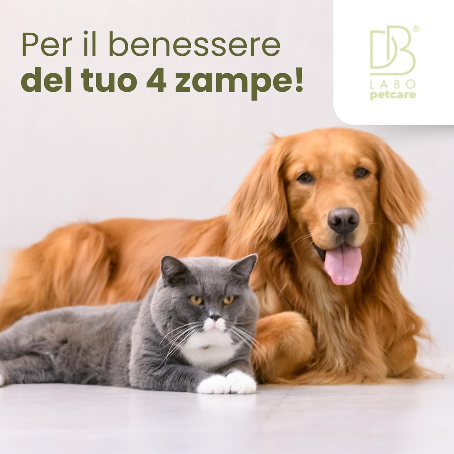 Thumbnail 5 de DBLabo Spray Antiprurito per Cani e Gatti 250 ml: sollievo naturale per pelle e irritazioni