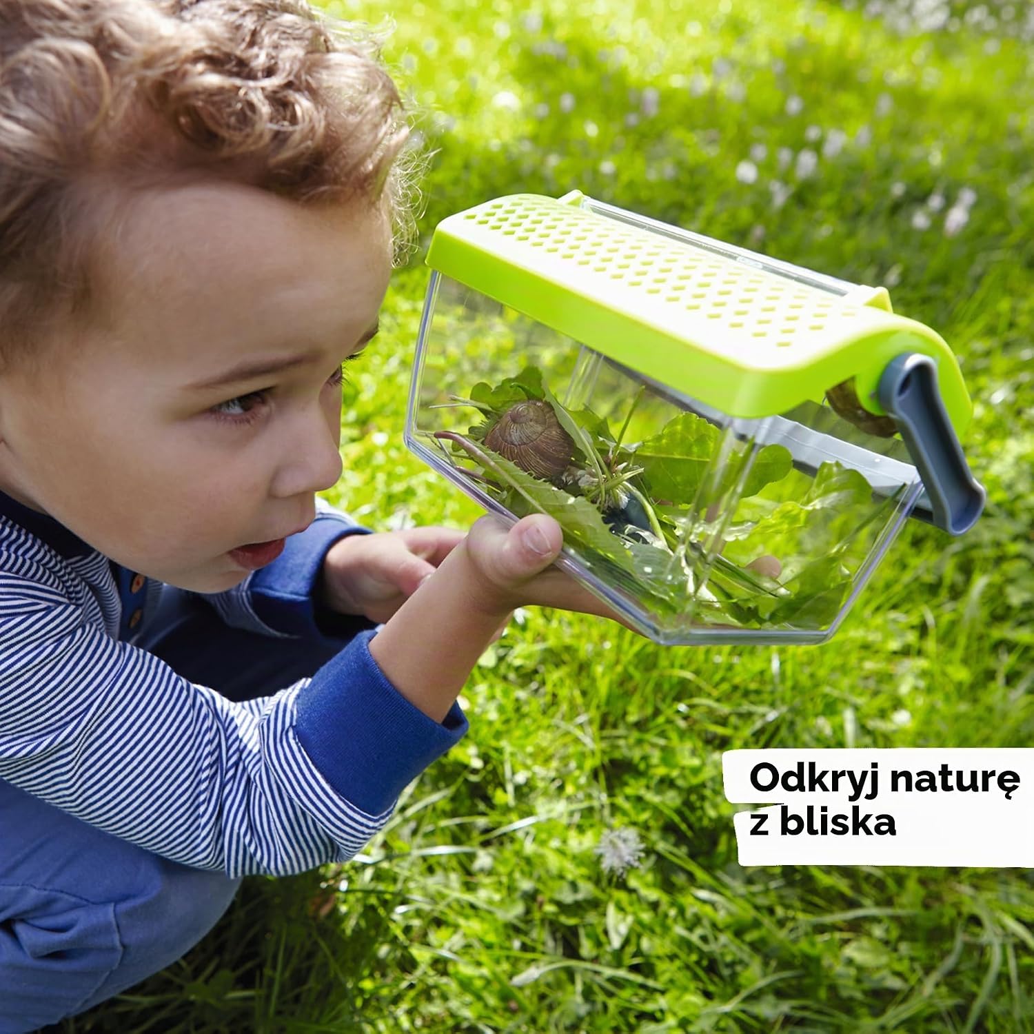 Detalle 1 de HABA 301513 Terra Kids – pojemnik na owady 11,5 cm z uchwytem i wentylacją