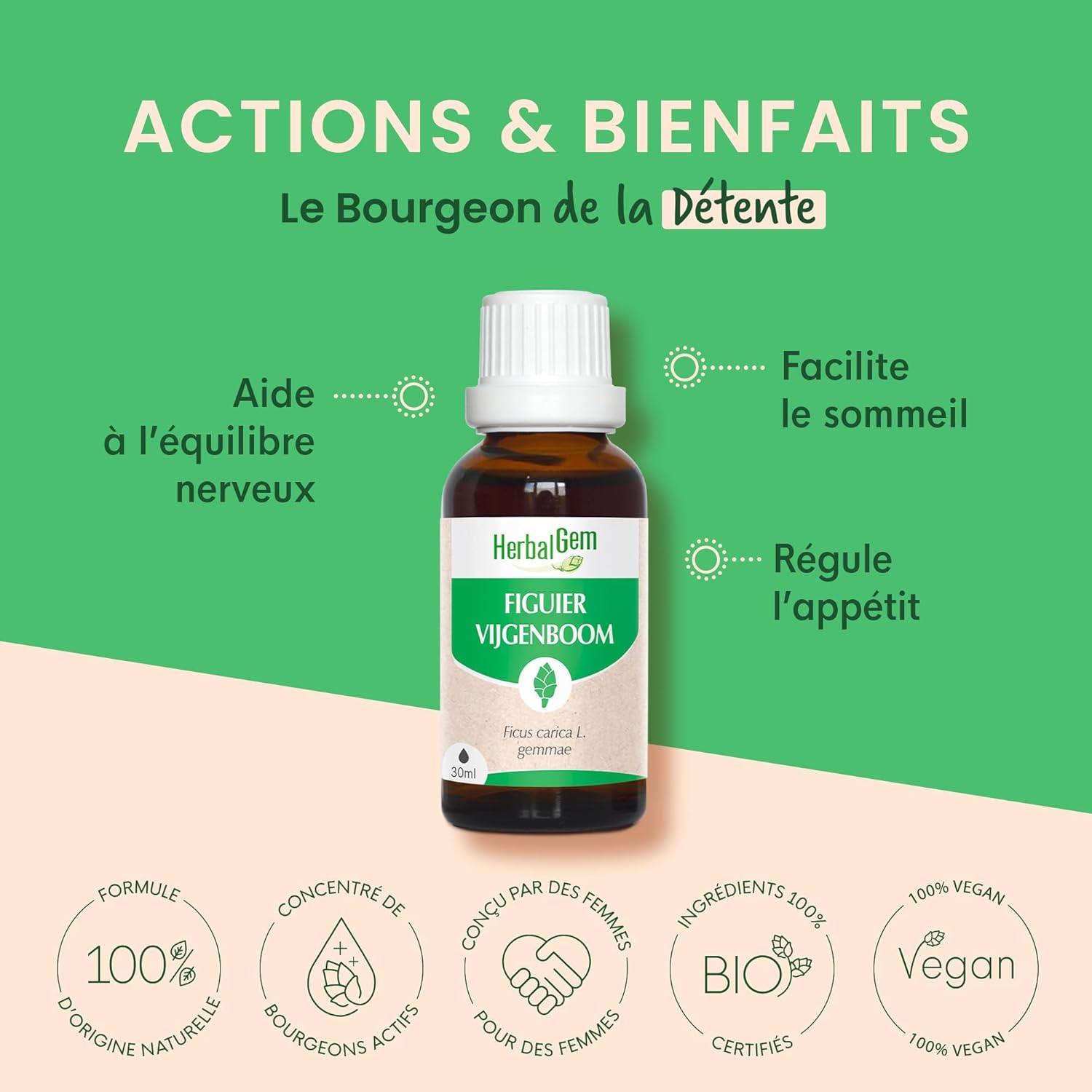 Thumbnail 1 de HERBALGEM Macérât-Mère Figuier Bio – Complément Gemmothérapie Concentrée, Extrait de Bourgeon Frais (30 ml)