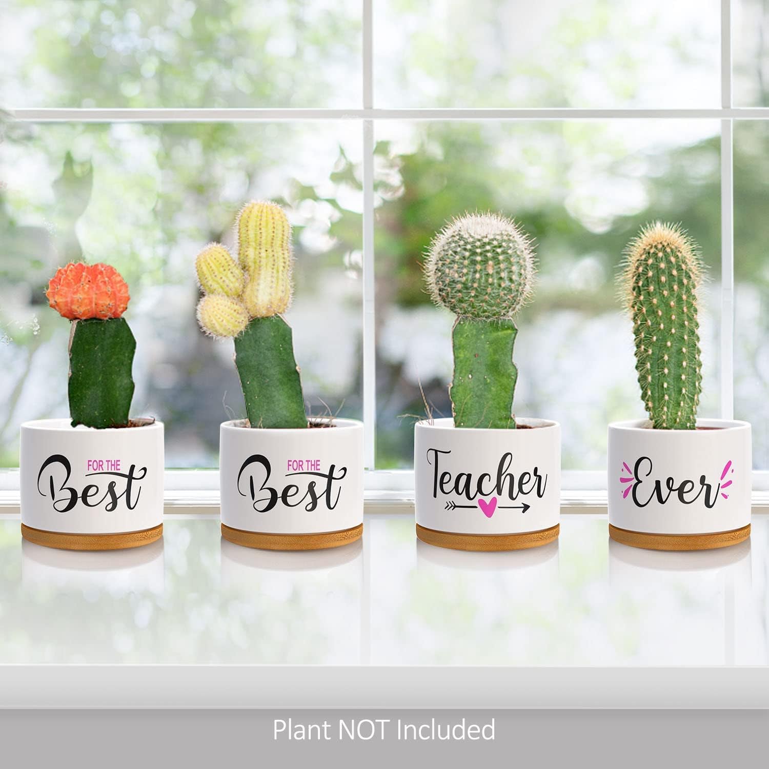 Thumbnail 6 de Teacher Appreciation Gifts for Women: Best Teacher Ever Ceramic Succulent Pots