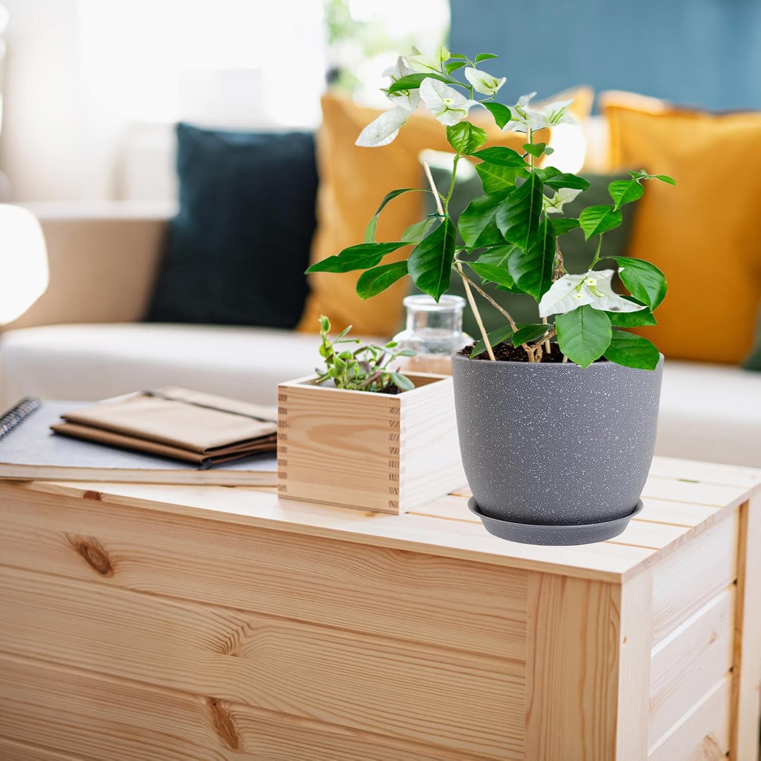 Thumbnail 4 de PROFIKLA plant pots set of 3, 20cm