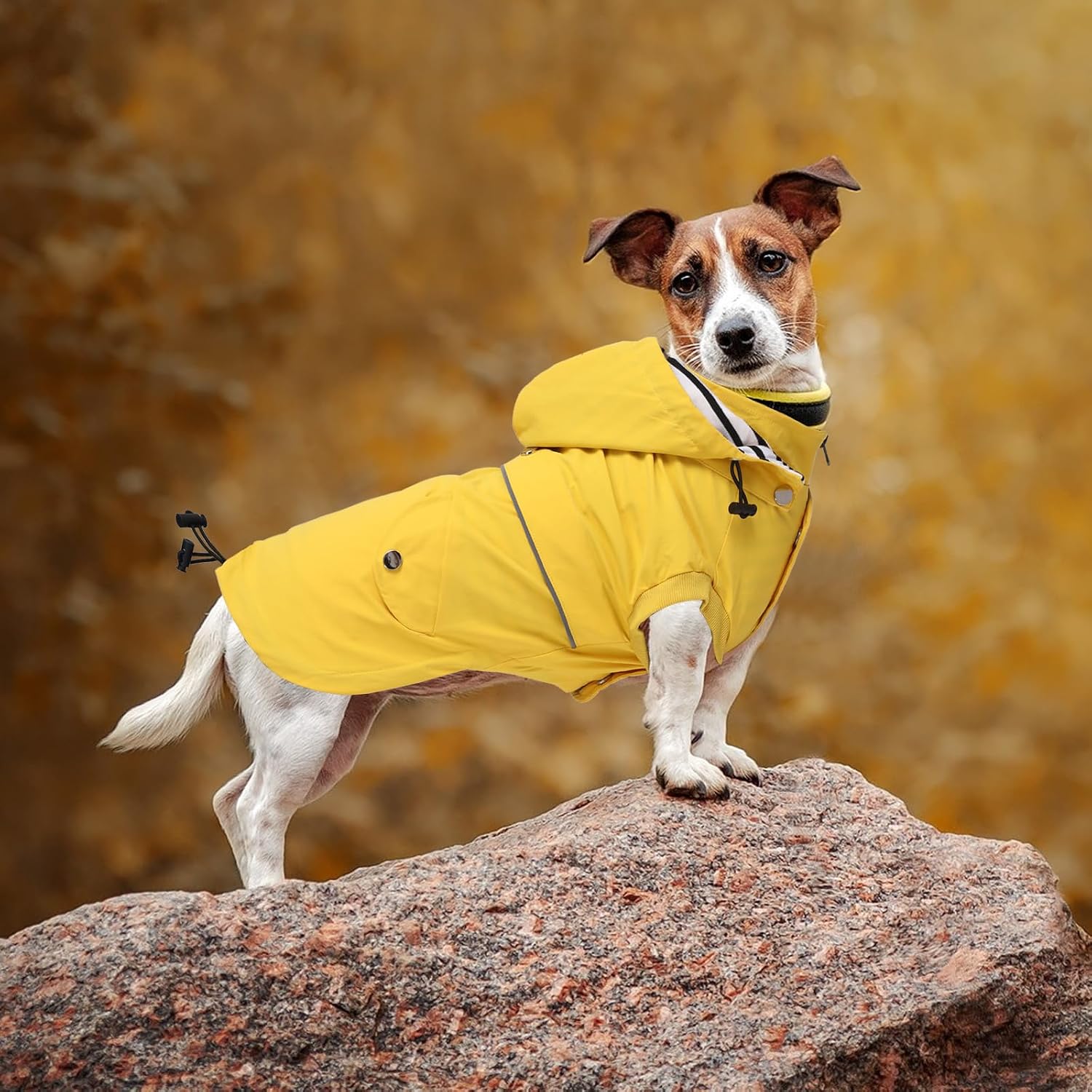 Thumbnail 6 de Dog Raincoat Waterproof Coat with Hood and Harness Access, Yellow XS