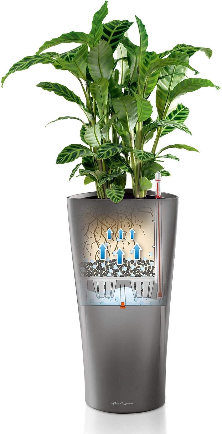 Thumbnail 6 de LECHUZA Delta Premium 40 vaso autoirrigante