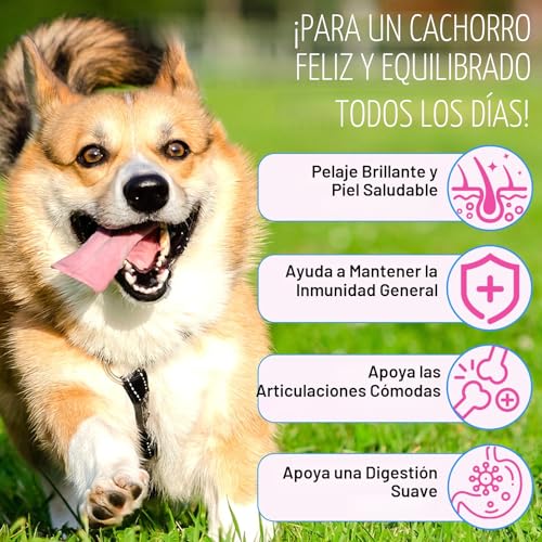 Detalle de Colágeno líquido para perros CiAIplw 60ML: piel sana, pelo brillante y articulaciones flexibles