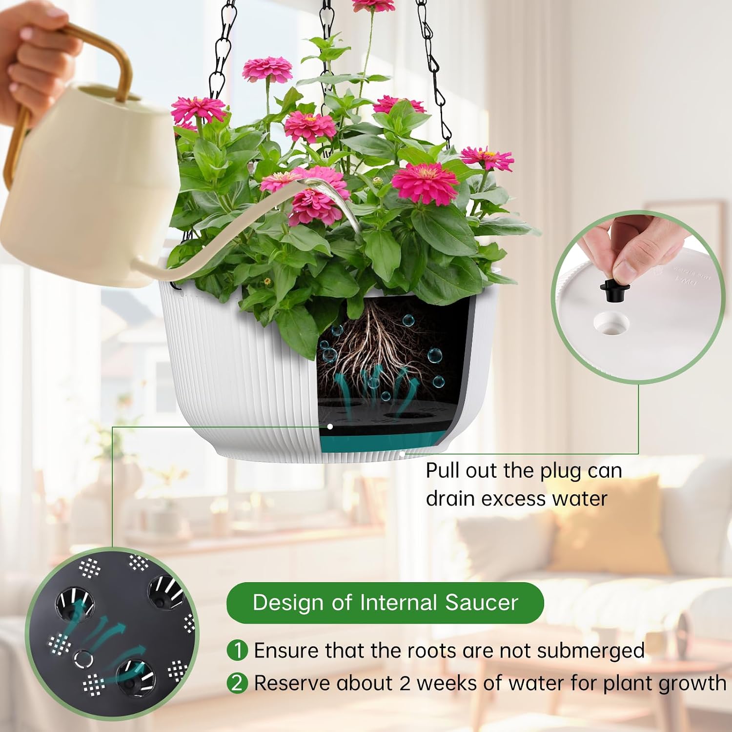 Thumbnail 2 de Kvetto Hanging Planters 8-Inch