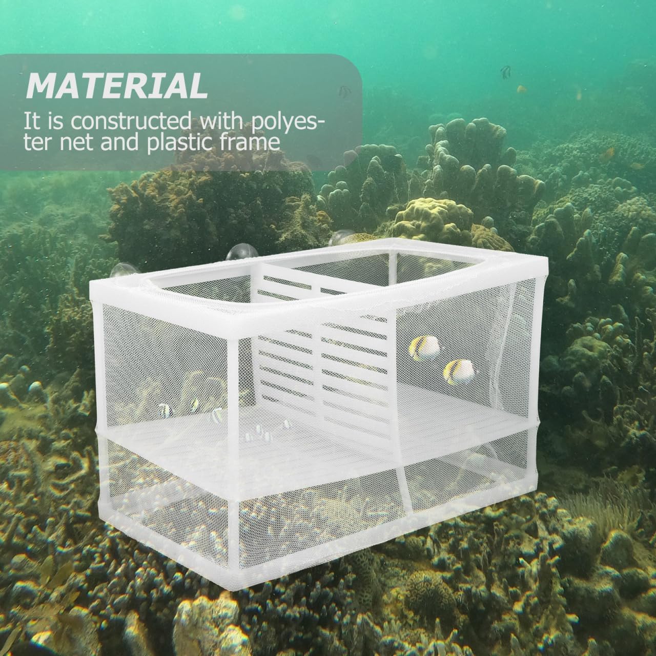 Thumbnail 1 de iplusmile Fish Breeding Tank with Partition Mesh and Suction Cups