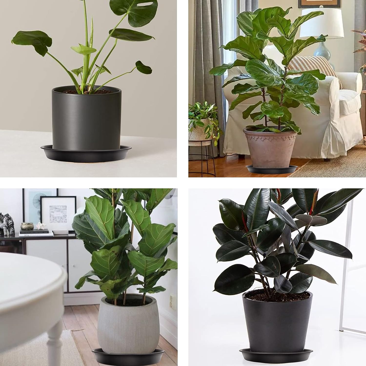 Thumbnail 5 de Muzhira 6 Pack Plant Saucers (26cm red) – thick PP drip trays for indoor and outdoor pots