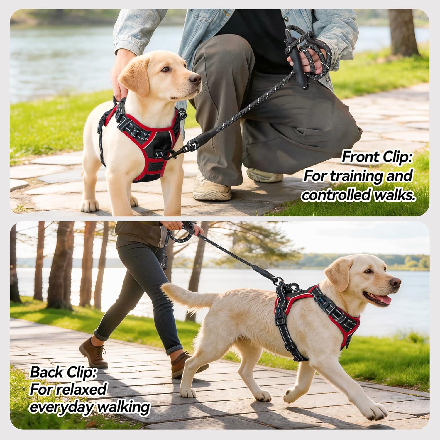 Thumbnail 3 de PHOEPET No Pull Dog Harness with Reflective Strips – Adjustable Vest for Small to Large Dogs
