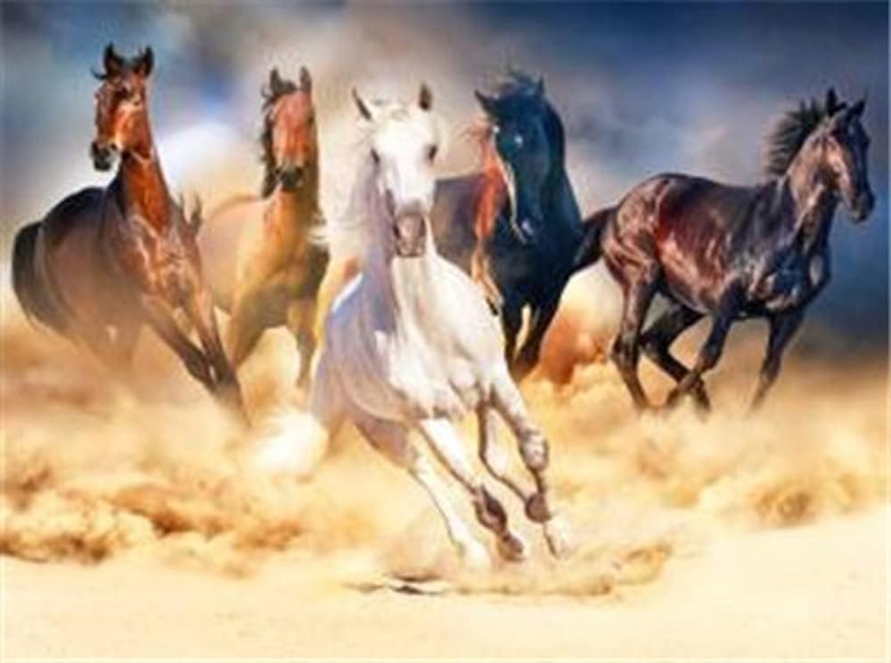 Thumbnail 6 de Pracht Creatives Hobby Diamond Painting Set „Delfin“ (ca. 35 x 25 cm) mit Zubehör