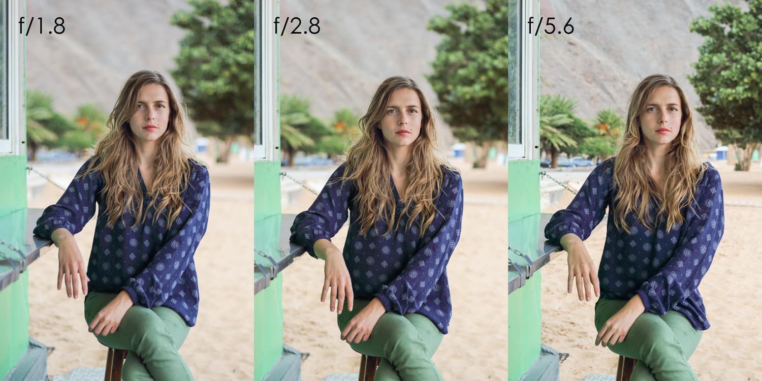 Thumbnail 6 de Canon EF 50mm f/1.8 STM Lens — compact, lightweight prime for Canon DSLR cameras