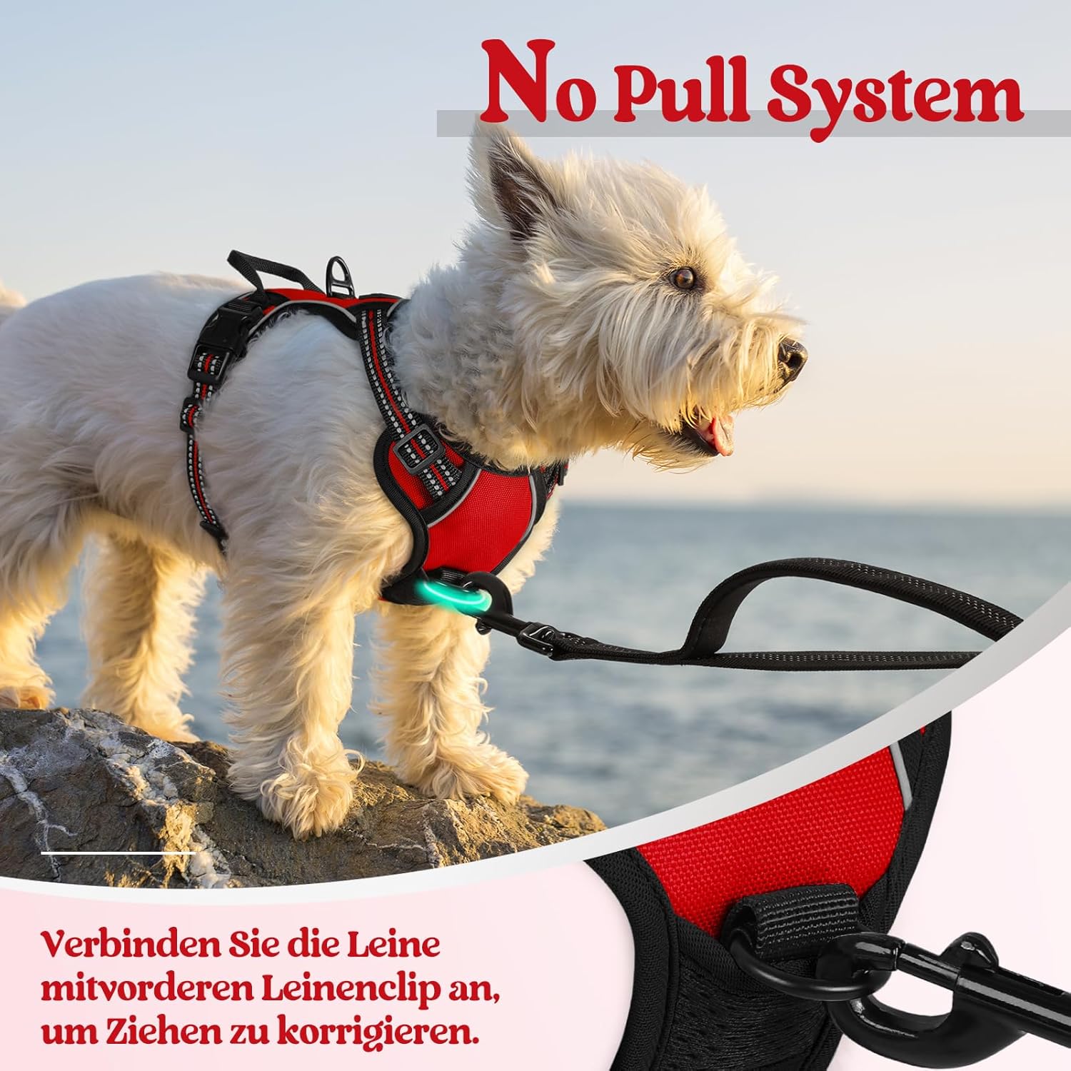 Detalle 2 de Rabbitgoo Hundegeschirr XS – Anti Zug, verstellbar & atmungsaktiv für Kleine Hunde