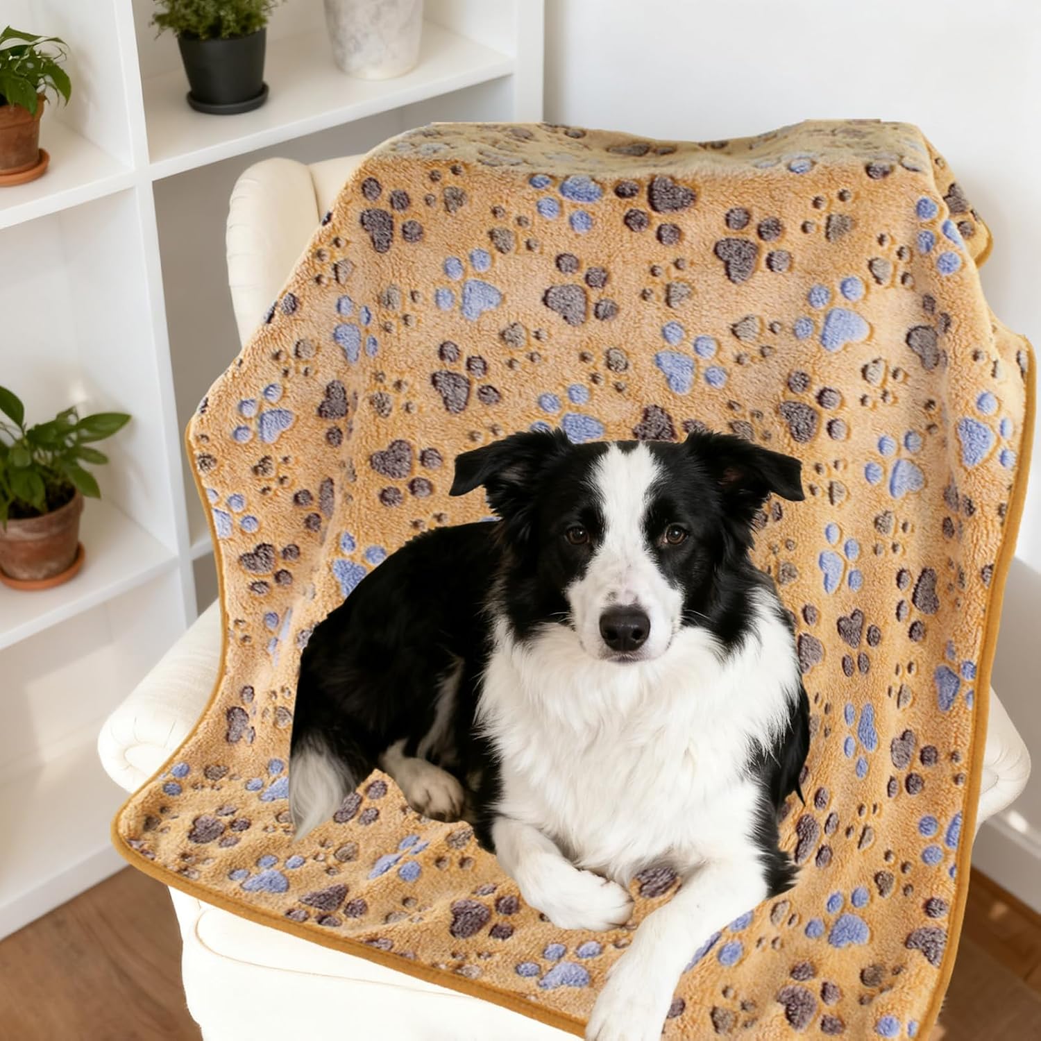 Detalle 2 de Tharvolex 3 Pack Pet Blankets – 40 x 60 cm Soft Fleece with Paw Print
