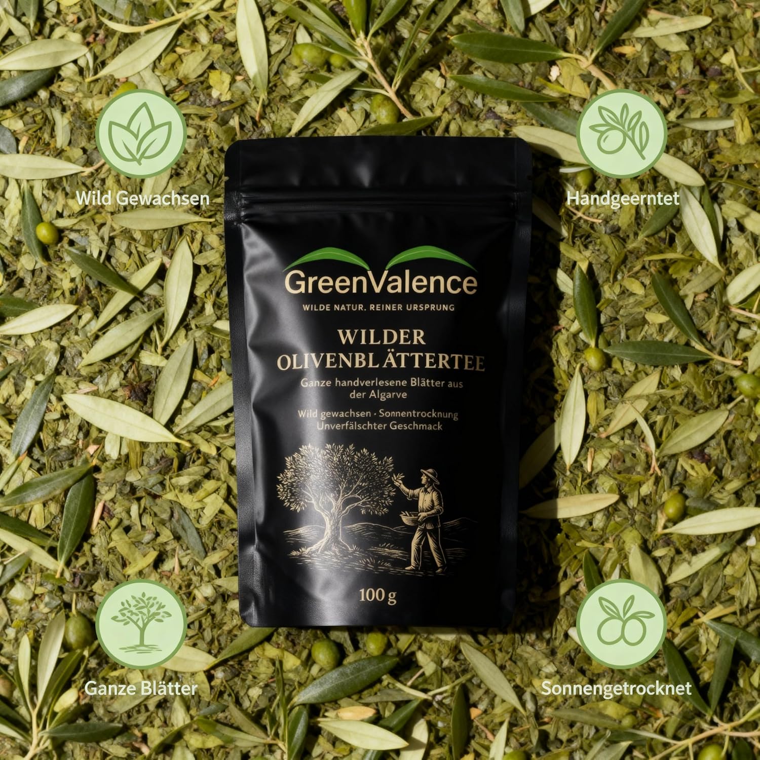 Detalle 2 de GreenValence Wilder Olivenblättertee (250 g) – handverlesene, sonnengetrocknete Olivenblätter aus der Algarve