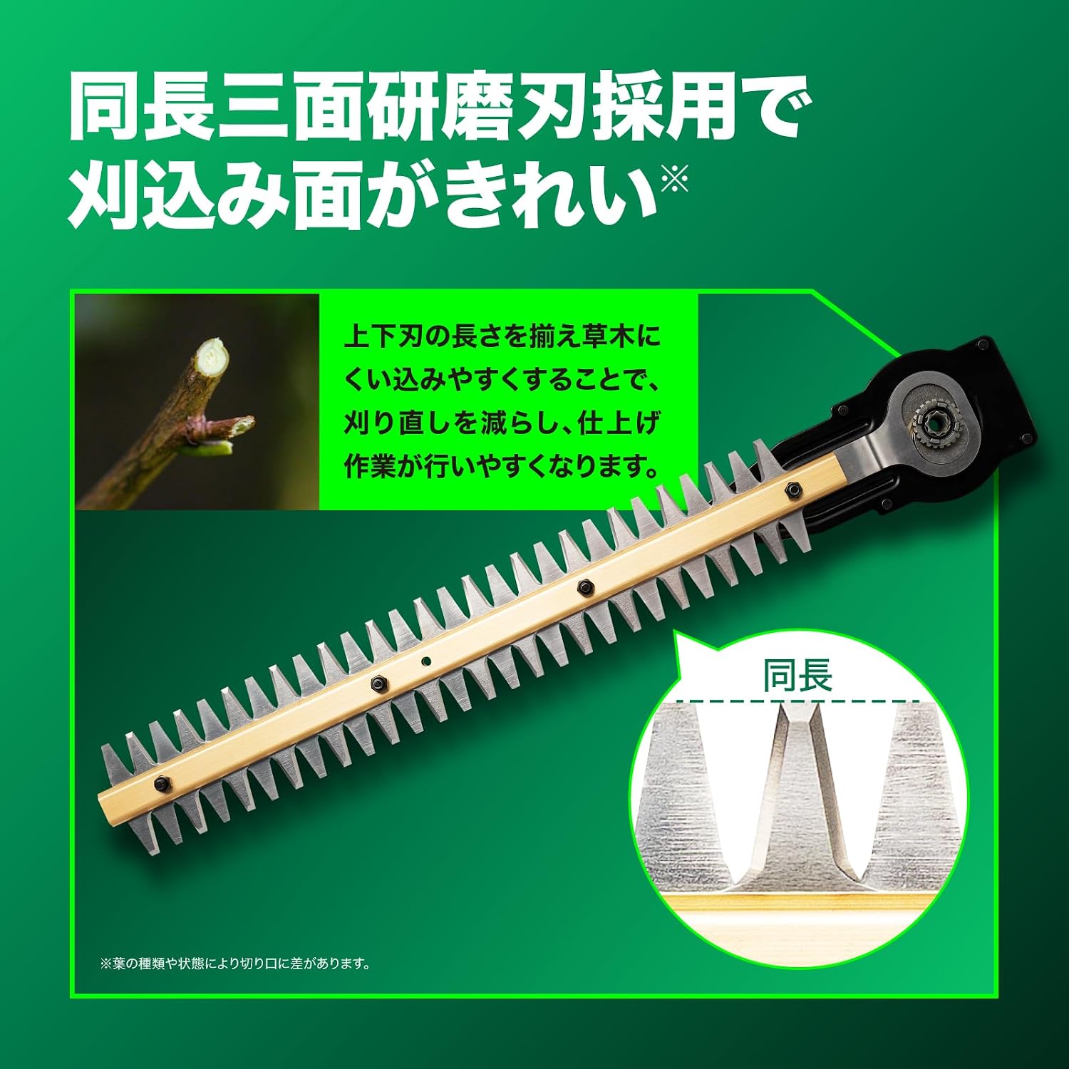 Detalle 2 de HiKOKI CH1845DA(SC)(BG) 18V充電式植木バリカン 450mmブレード・電池充電器付
