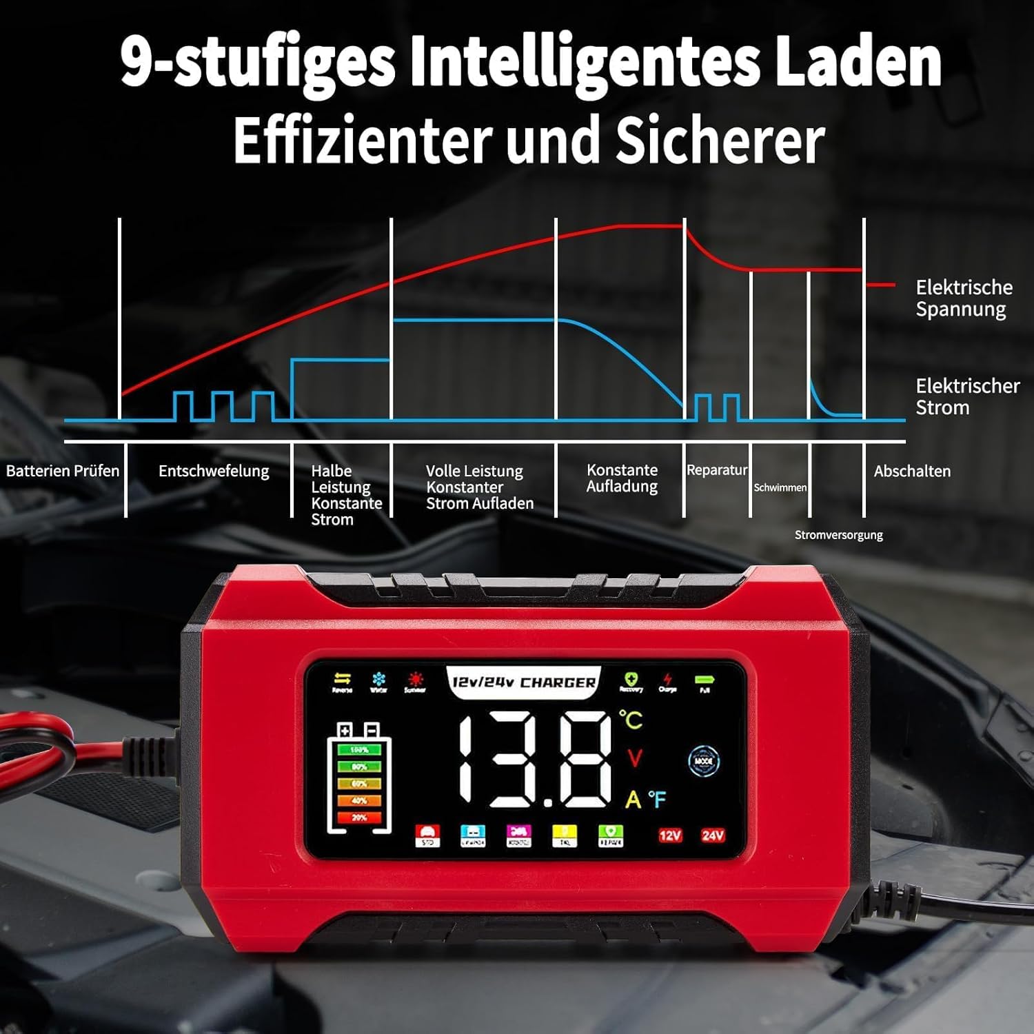 Detalle de HAUSPROFI 15A Autobatterieladegerät 12V/24V