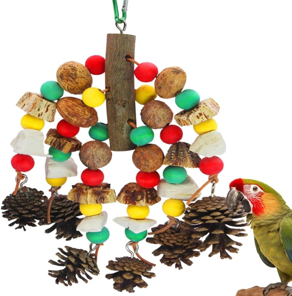 MQUPIN Jouets pour perroquets – Jouet en bois naturel et os de seiche pour cacatoès