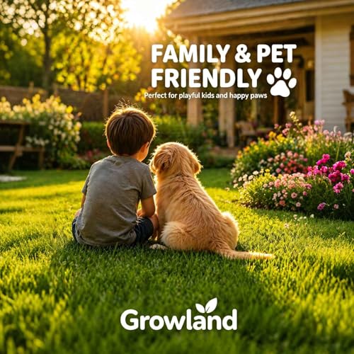 Thumbnail 4 de Growland Premium Fast Growing Grass Seed 1.2Kg – Dense Overseeding Mix for UK Lawns
